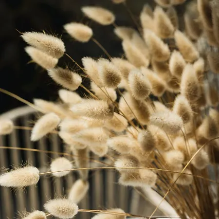 Petroto Sea View * Цукаладес